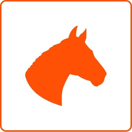 Horse racing