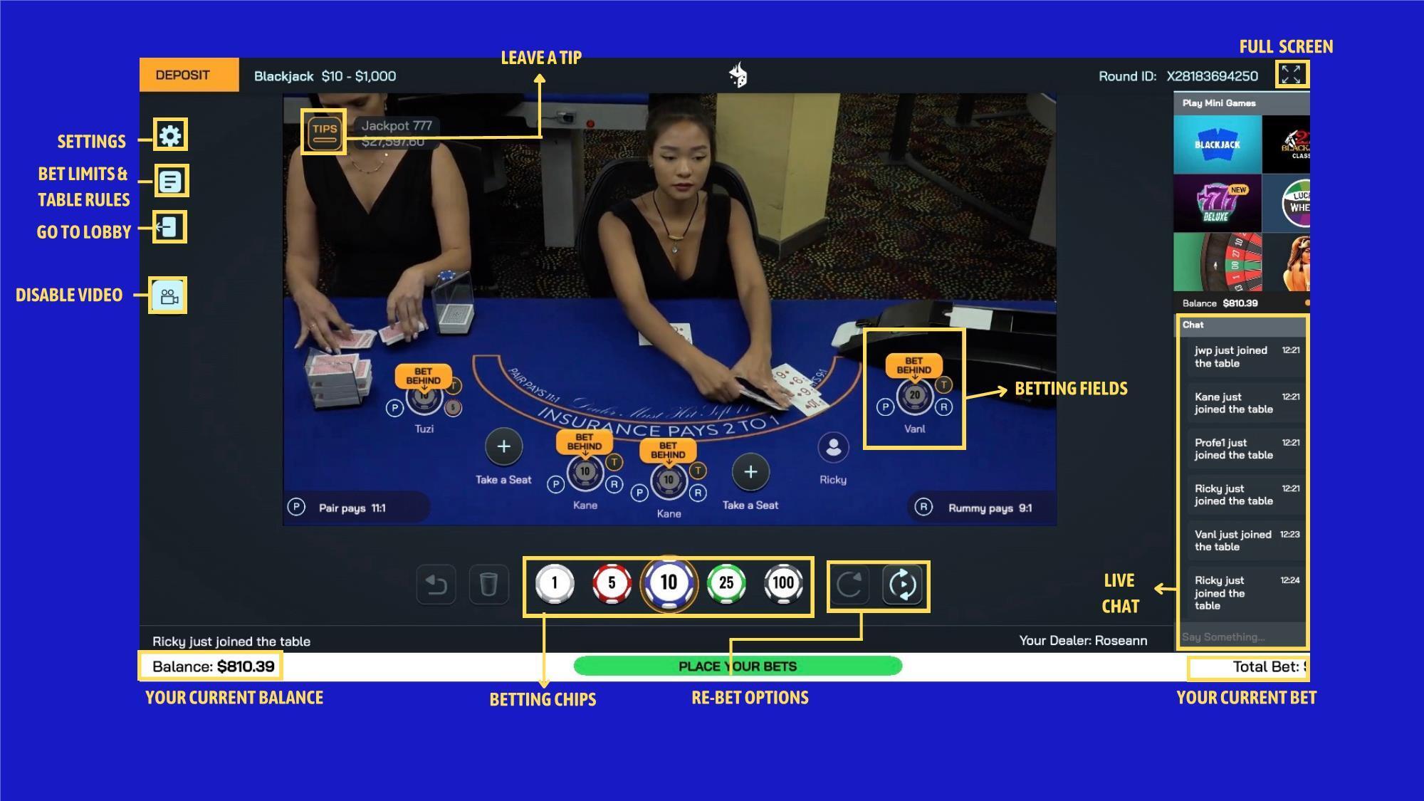 Live dealer blackjack table with annotations.