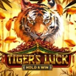 Tiger's Luck - Hold & Win