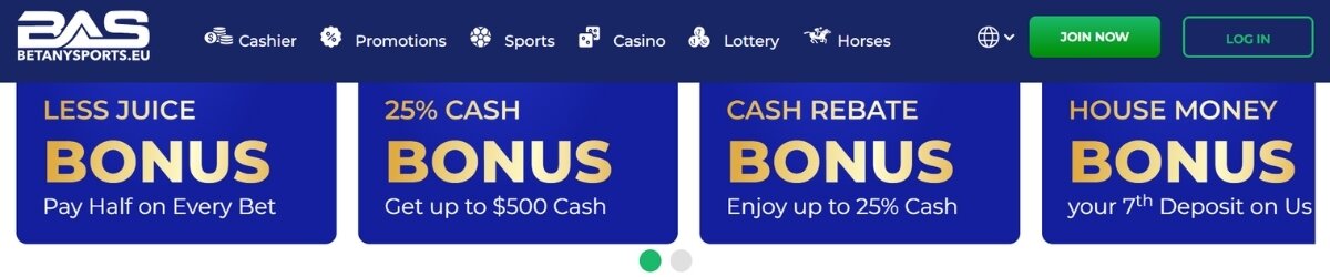 BetAnySports cricket sportsbook