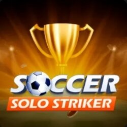 Soccer Solo Striker specialty game