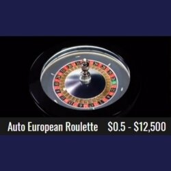 A sleek and modern Auto European Roulette table highlighting advanced mechanics.