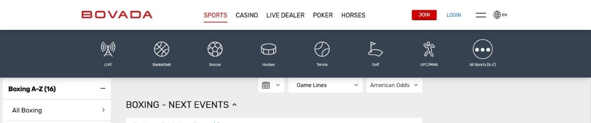 Bovada Misfits Boxing Betting