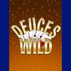 Deuces Wild Video Poker