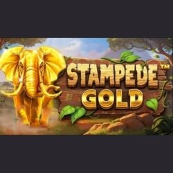 Stampede Gold slot title card