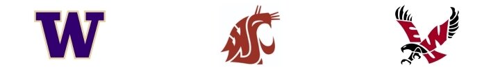 Washington College Teams