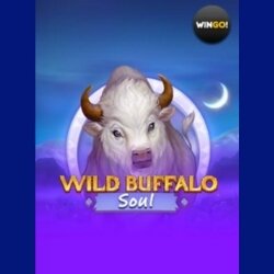 Wild Buffalo Soul slot game