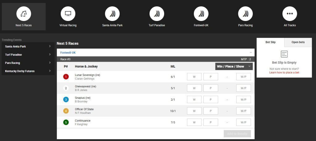 Bodog horse racing 