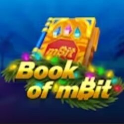 Book of mBit slot game