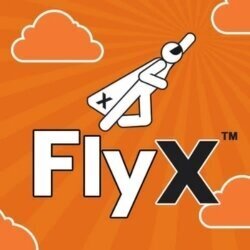 FlyX