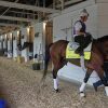 Kentucky Derby Favorite Journalism Lands No.8 Post Position