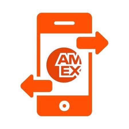 Amex Deposits and Withdrawals