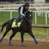 Rodriguez Late Scratch for Kentucky Derby, Baeza Gets Last Spot