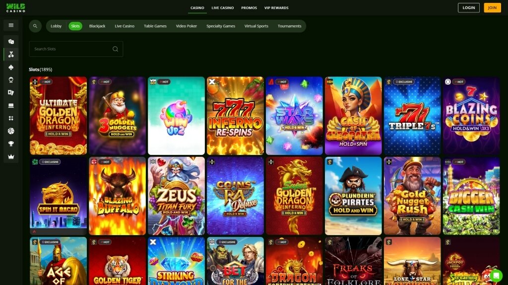 Best Wild Casino Slots: Highest RTP Games That Are Also Fun!