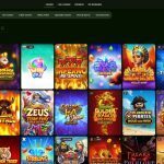 Best Wild Casino Slots: Highest RTP Games That Are Also Fun!