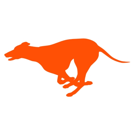 Greyhound Fast Breakers and Front Runners