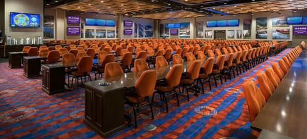 The Bingo Club at Vee Quiva