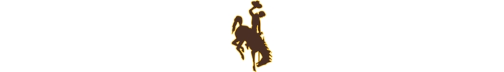 University of Wyoming Cowboys
