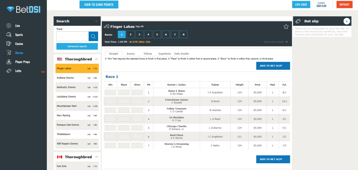 BetDSI Racebook