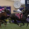 Breeders’ Cup Mile 2025 Betting Preview: Favorites, Longshots, & Best Bets