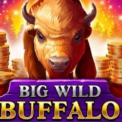 Big Wild Buffalo