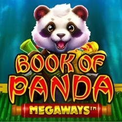 Book of Panda slot game
