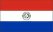 Paraguay national flag