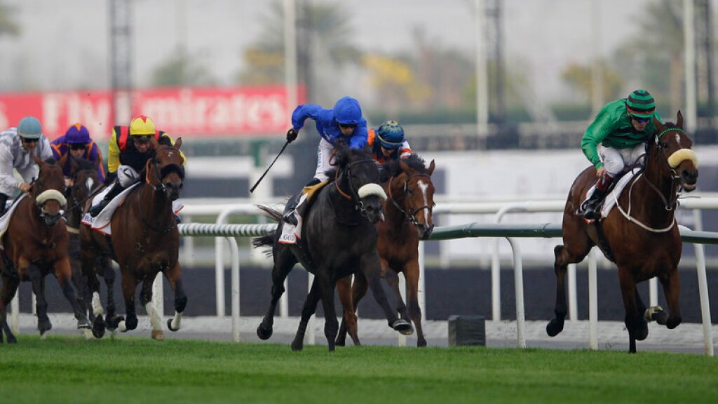 Ginger Joe’s Goodwood and Galway Preview and Best Bets (Tuesday)