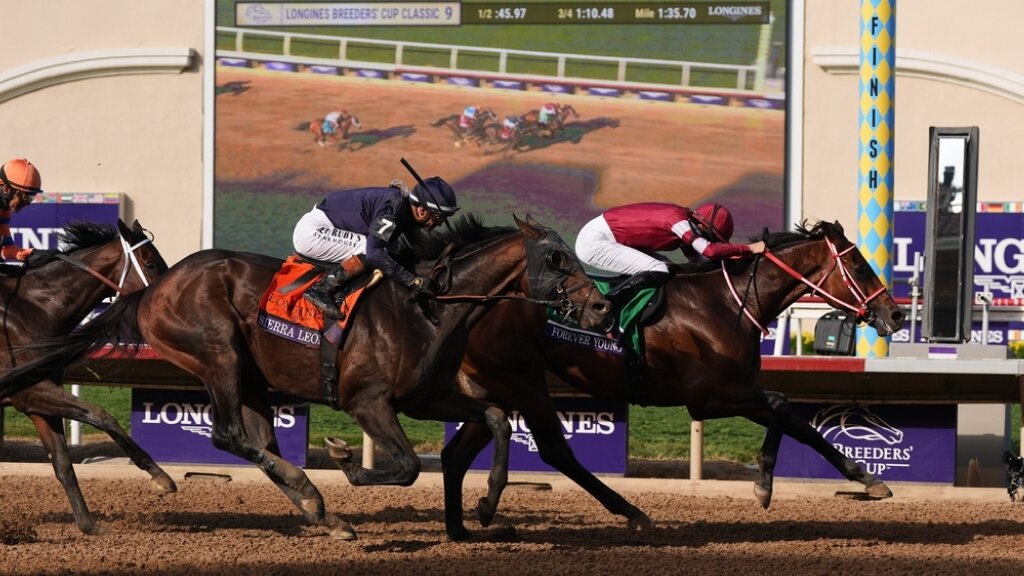 Breeders’ Cup 2026 Betting Preview with Odds and Predictions: Who Wins the Classic?