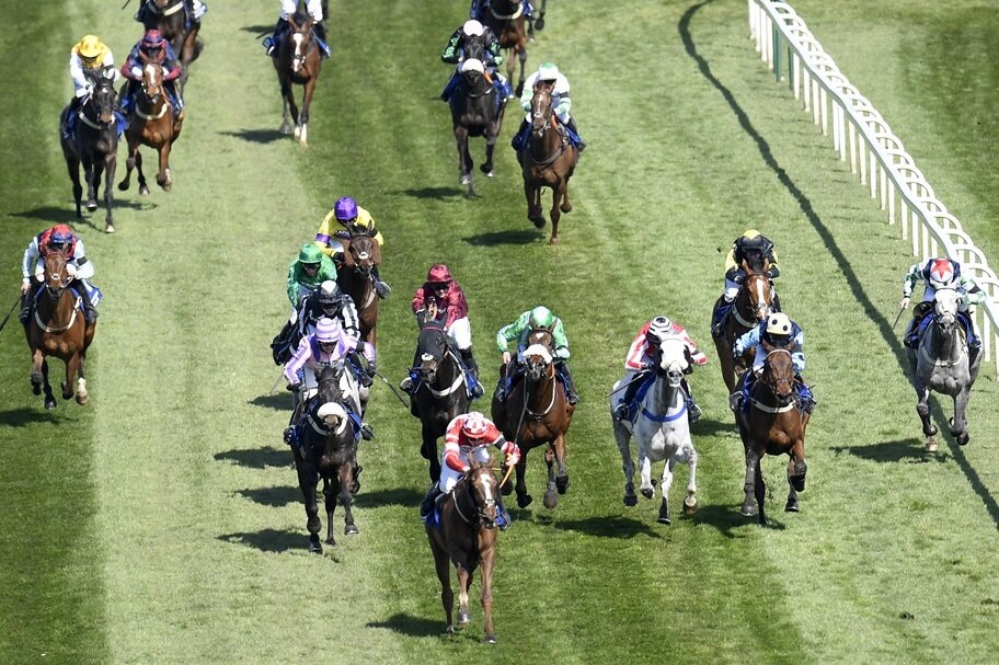 Top 5 UK Horses to Follow in 2026-27 by Ginger Joe